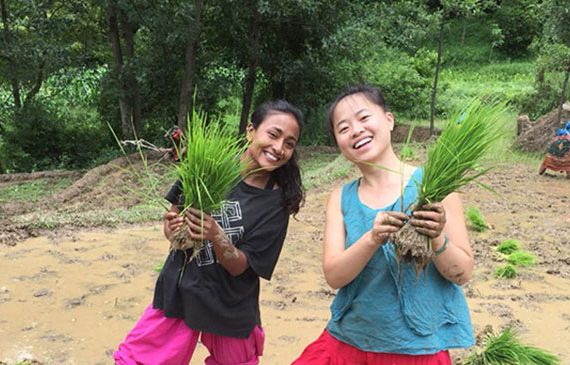 Rice Plantation and Eco-Building Workshop