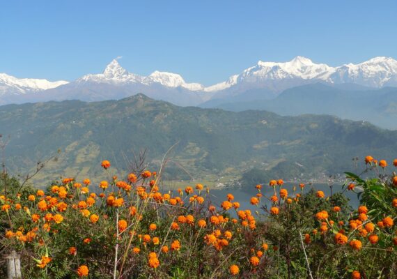 Best Travel Agency in Nepal | Tour Operator in Nepal