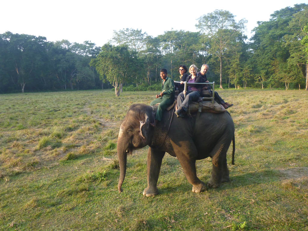 nepal wildlife tour