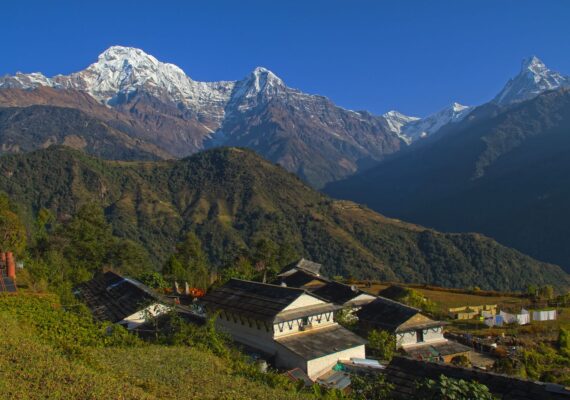 Tips on Choosing the Right Travel/ Tour Operator in Nepal