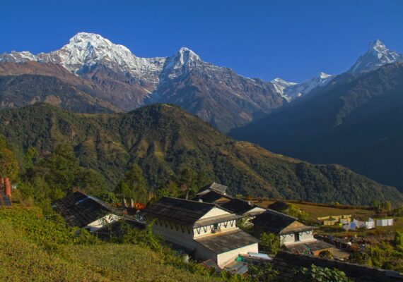 Tips on Choosing the Right Travel/ Tour Operator in Nepal